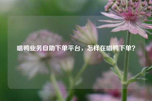 唱鸭业务自助下单平台，怎样在唱鸭下单？