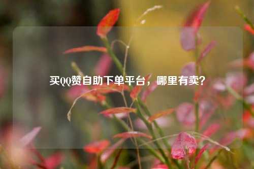 买QQ赞自助下单平台，哪里有卖？
