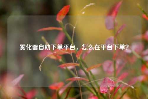 雾化器自助下单平台，怎么在平台下单？