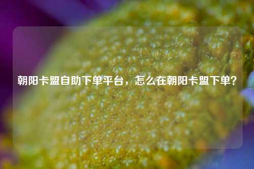 朝阳卡盟自助下单平台，怎么在朝阳卡盟下单？