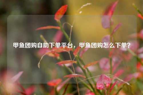 甲鱼团购自助下单平台，甲鱼团购怎么下单？