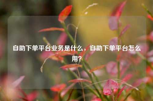 自助下单平台业务是什么，自助下单平台怎么用？