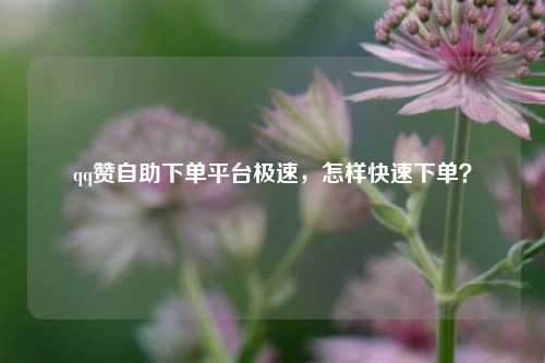 qq赞自助下单平台极速，怎样快速下单？