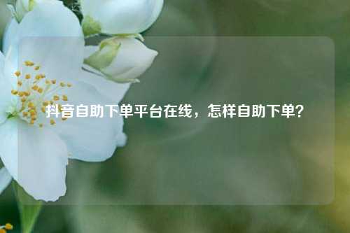 抖音自助下单平台在线，怎样自助下单？