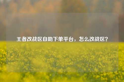 王者改战区自助下单平台，怎么改战区？