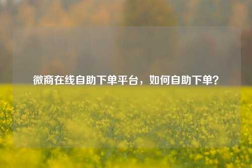 微商在线自助下单平台，如何自助下单？