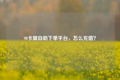 98卡盟自助下单平台，怎么充值？