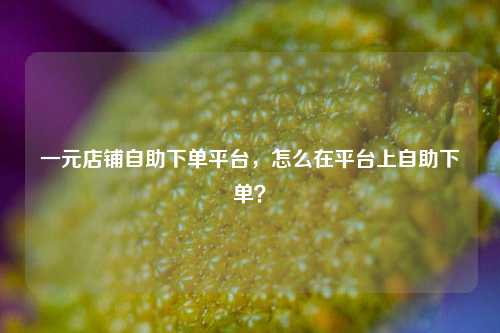 一元店铺自助下单平台，怎么在平台上自助下单？