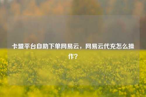 卡盟平台自助下单网易云，网易云代充怎么操作？