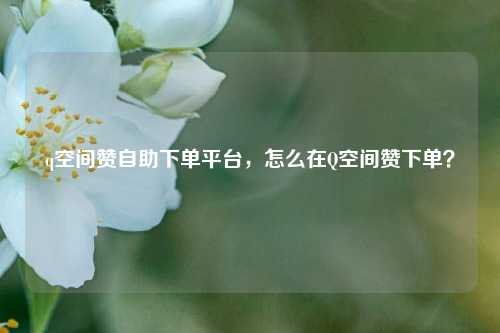 q空间赞自助下单平台，怎么在Q空间赞下单？