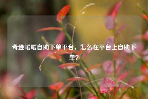 奇迹暖暖自助下单平台，怎么在平台上自助下单？