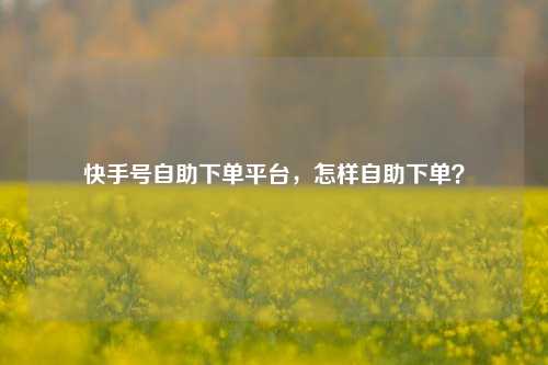 快手号自助下单平台，怎样自助下单？