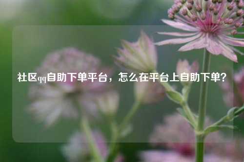 社区qq自助下单平台，怎么在平台上自助下单？