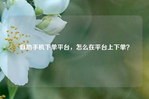 自助手机下单平台，怎么在平台上下单？