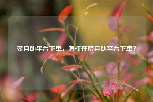赞自助平台下单，怎样在赞自助平台下单？