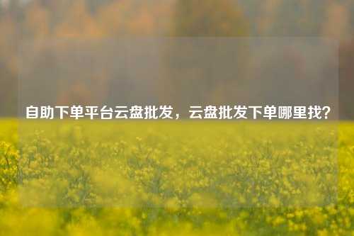 自助下单平台云盘批发，云盘批发下单哪里找？