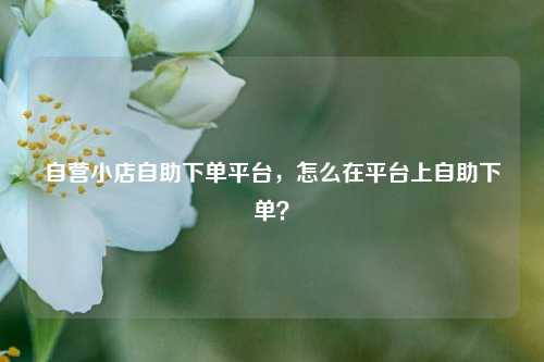 自营小店自助下单平台，怎么在平台上自助下单？